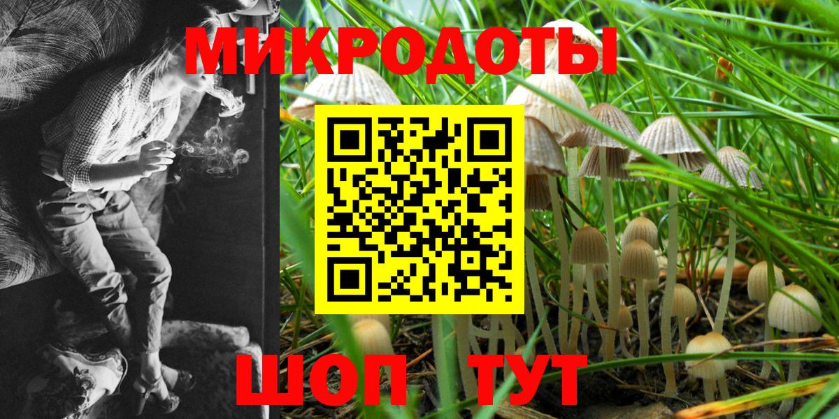 Северобайкальск  Псилоцибиновые грибы Magic Shrooms  Вход с VPN  Галлюциногенные грибы MAGIC MUSHROOMS 