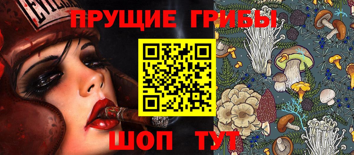 Галлюциногенные грибы Psilocybe Северобайкальск